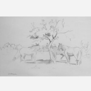 Yves Brayer Studies for Horses