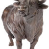 Damien Colcombet bronze Coquet taureau charolais