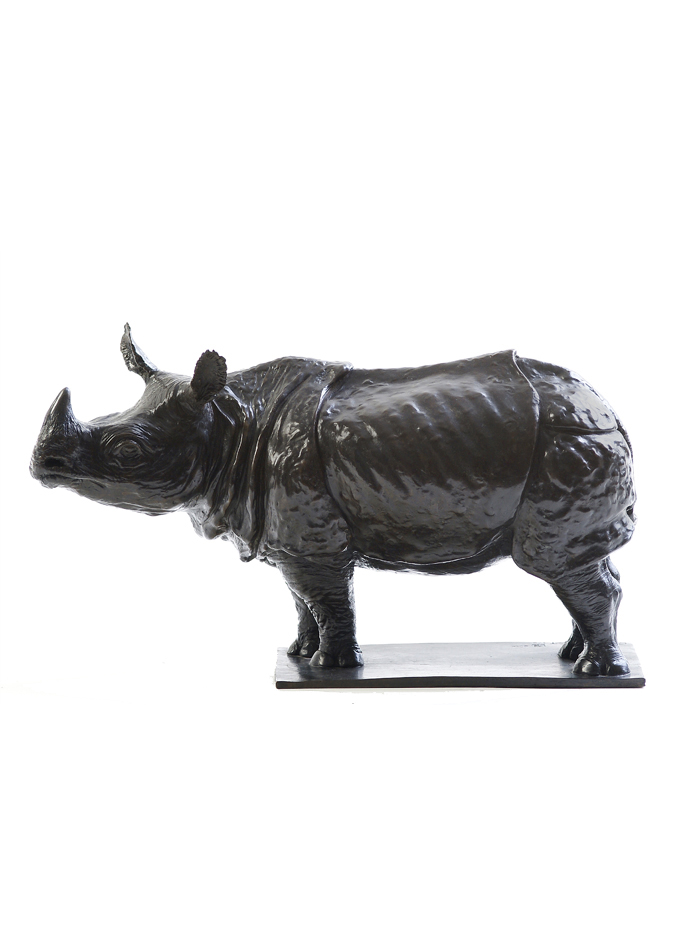 Damien Colcombet, Indian Rhinoceros