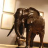 troisieme-elephant-afrique-colcombet