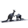 Red Kangaroos