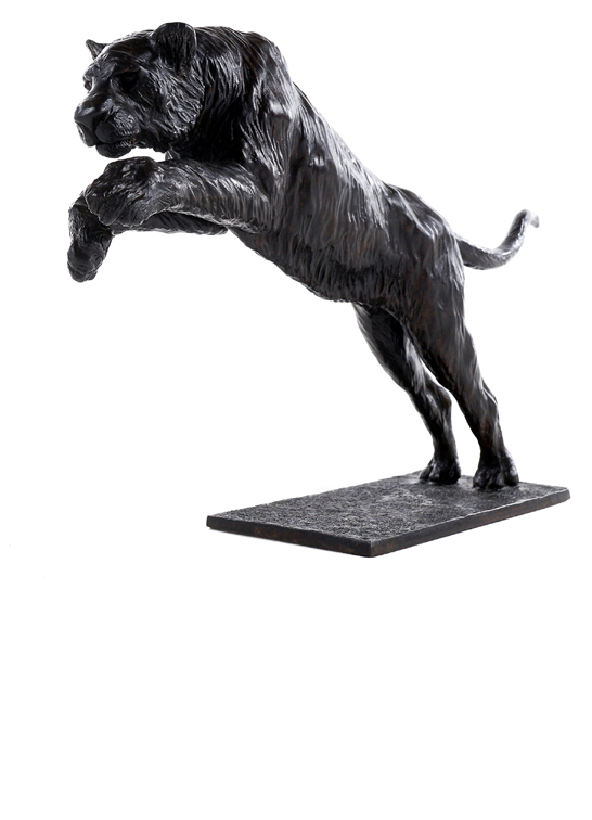 Damien Colcombet bronze sculpture Tigre de Sibérie sautant