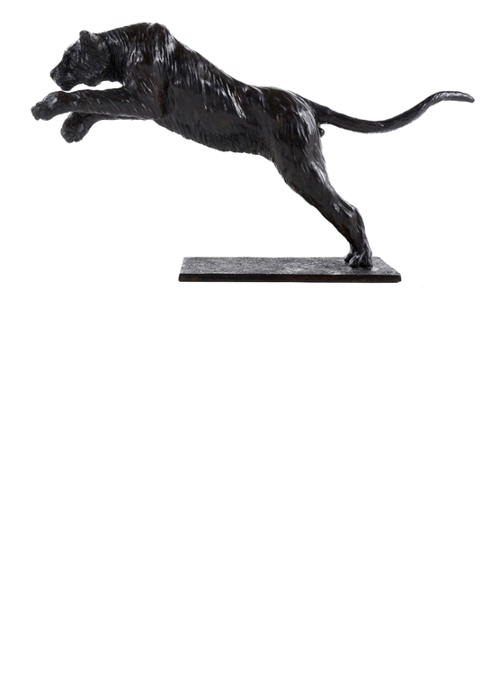 Damien Colcombet bronze sculpture Tigre de Sibérie sautant