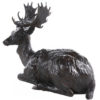 buck-damien-colcombet