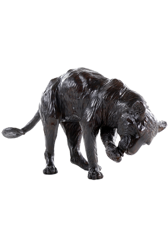 Damien Colcombet bronze sculpture Tigre se léchant la patte