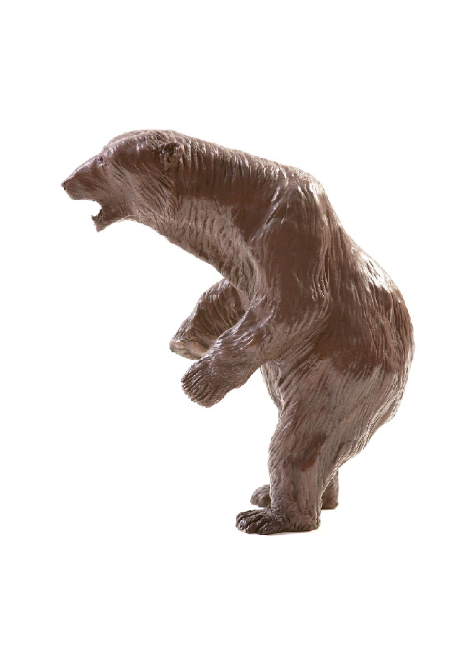 alaska-ours-polaire-damien-colcombet
