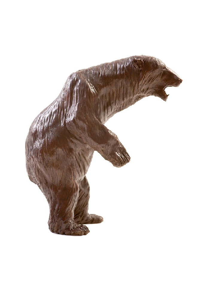 alaska-polar-bear-damien-colcombet