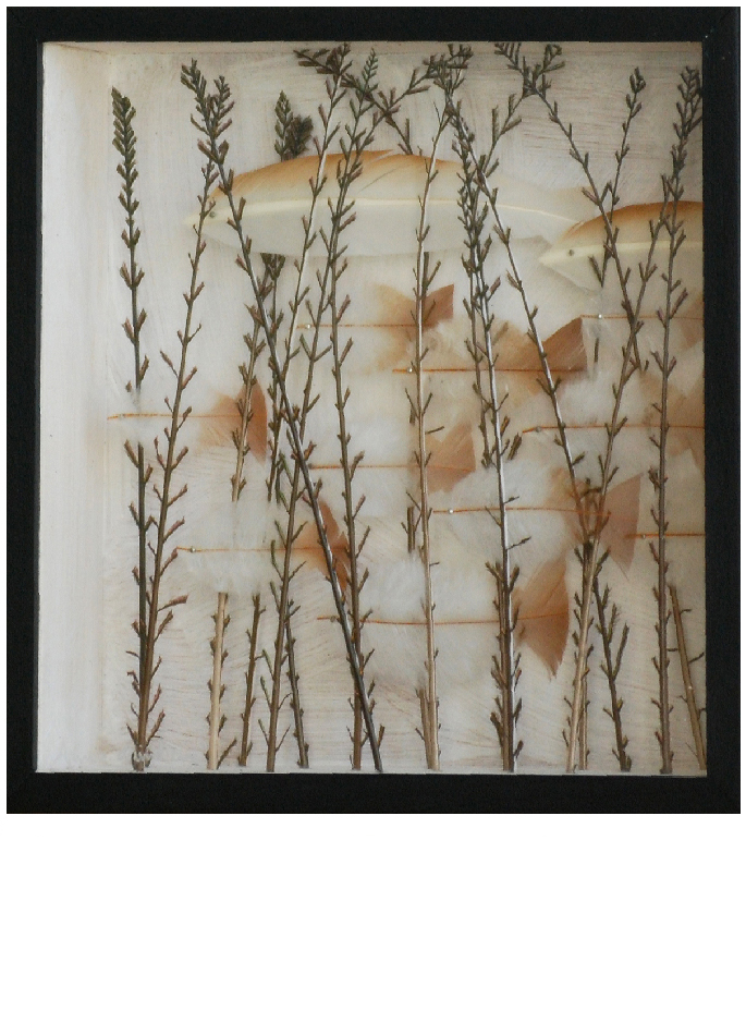 anne-limbour-savane-transparente