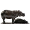 Femelle hippopotame et son petit