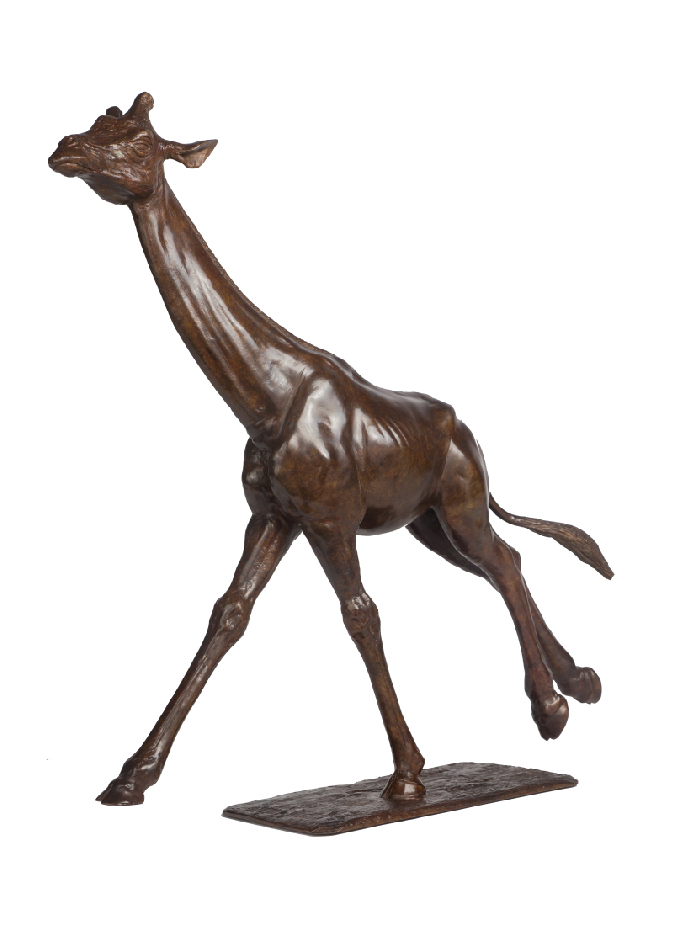 Galloping Giraffe n°1