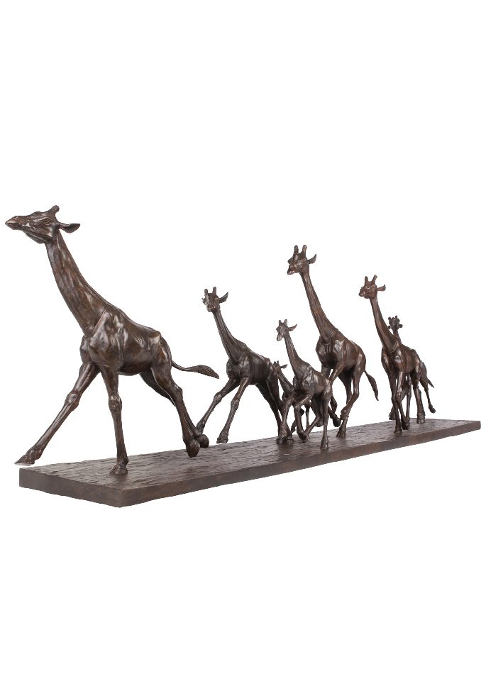 Les Girafes au galop de Damien Colcombet