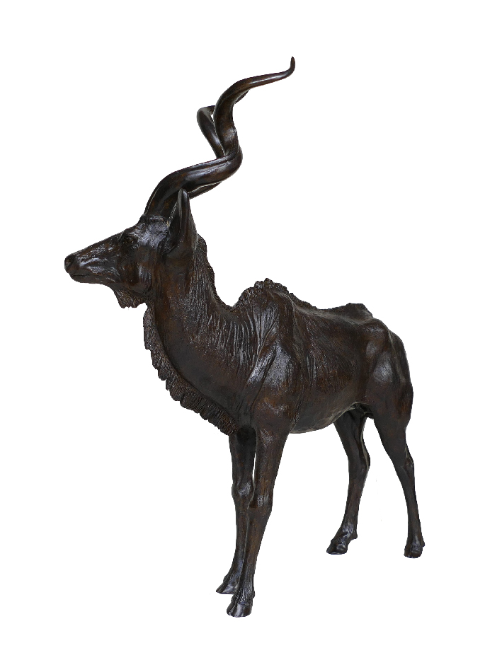 greater-kudu-damien-colcombet