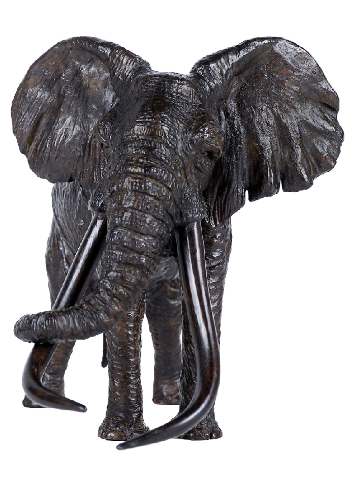le patriarche - vieil éléphant d'Afrique