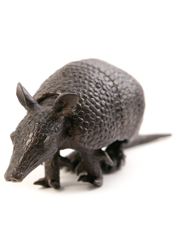 nine-banded-armadillo