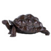 tortue-geante-daldabra