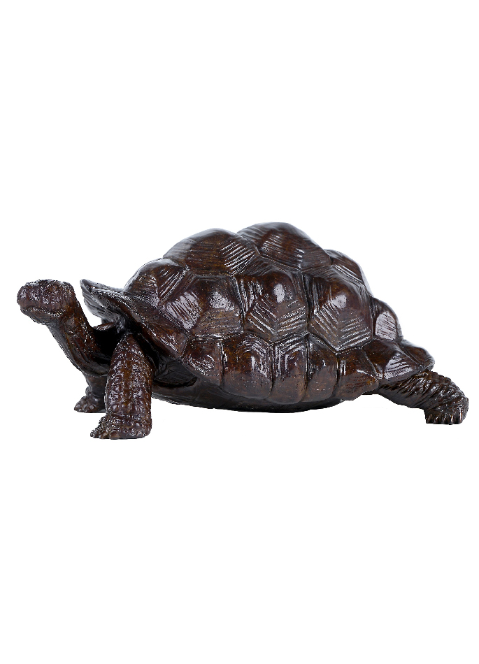 tortue-geante-daldabra