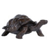 tortue-geante-daldabra