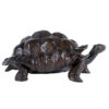 tortue-geante-daldabra
