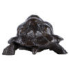 tortue-geante-daldabra