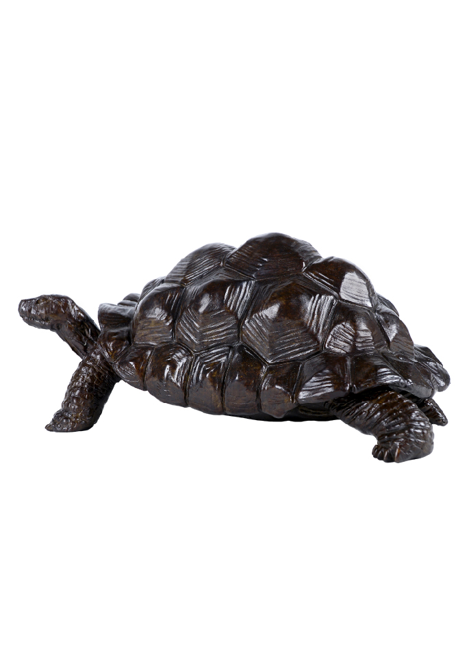 aldabra-giant-turtoise