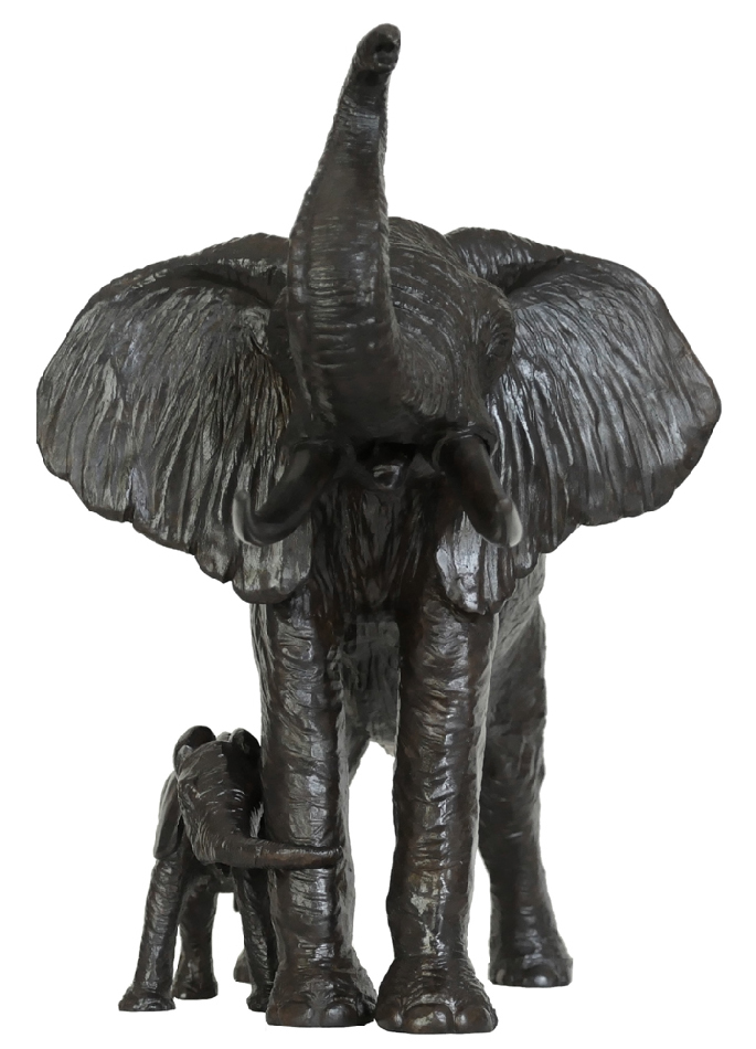 Female Elephant Protecting Her Calf