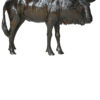 blue-wildebeest -damien-colcombet