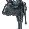 blue-wildebeest -damien-colcombet