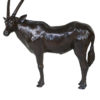 Turned Head Oryx – Image 3