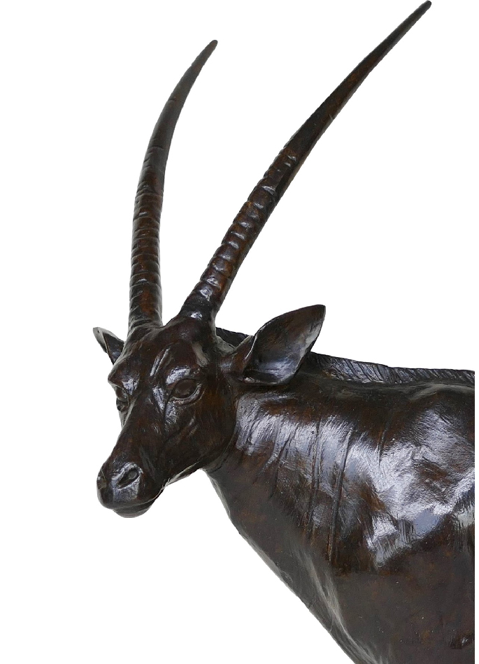 oryx-damien-colcombet