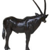 oryx-damien-colcombet
