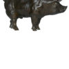 boar-pig-damien-colcombet