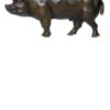 boar-pig-damien-colcombet