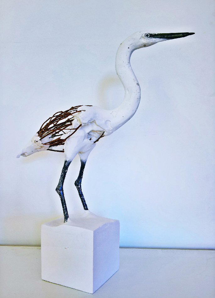 herve-bedouin-little-egret-22
