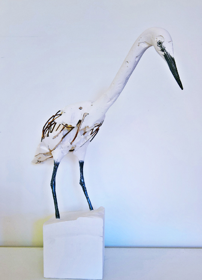 herve-bedouin-little-egret-23