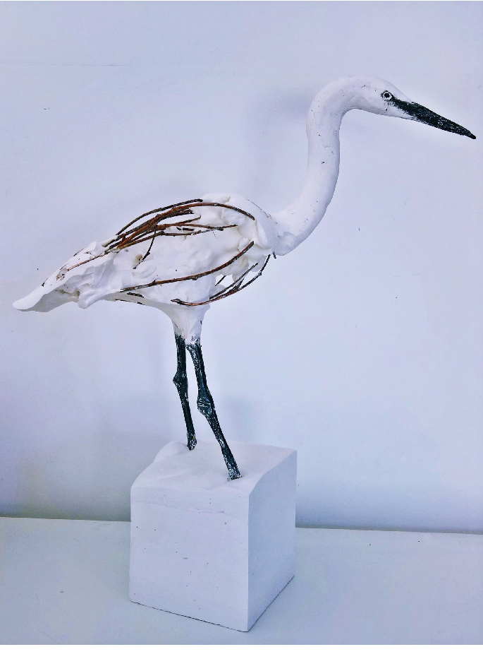 herve-bedouin-little-egret-24