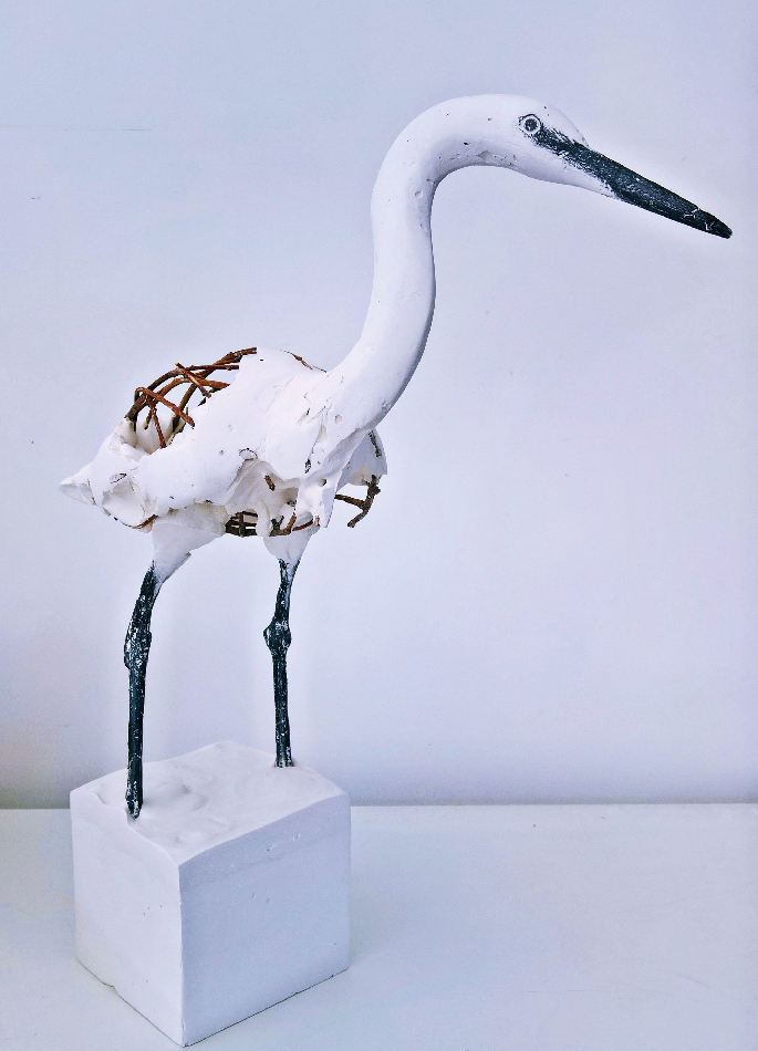 herve-bedouin-little-egret-25
