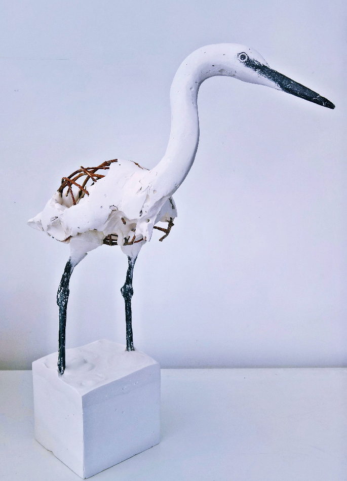 herve-bedouin-little-egret-25