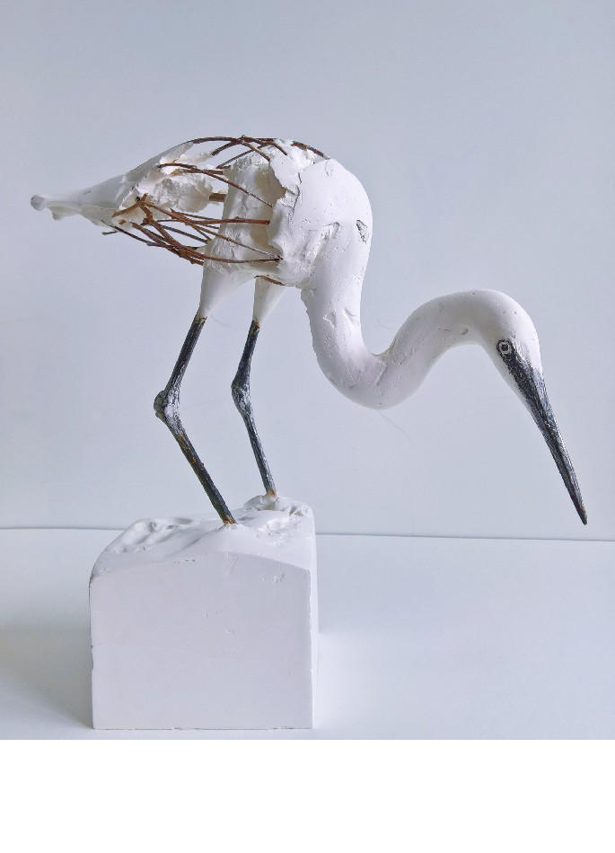 herve-bedouin-little-egret-31