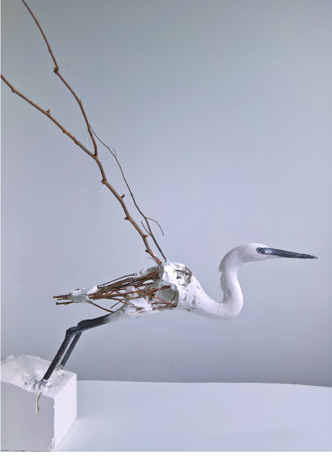 herve-bedouin-little-egret-32