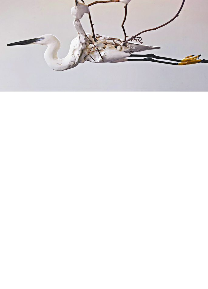 herve-bedouin-aigrette-garzette-38