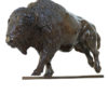 Damien Colcombet - Galloping American Bison