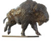 Damien Colcombet-Galloping American Bison