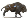 Damien Colcombet-Galloping American Bison
