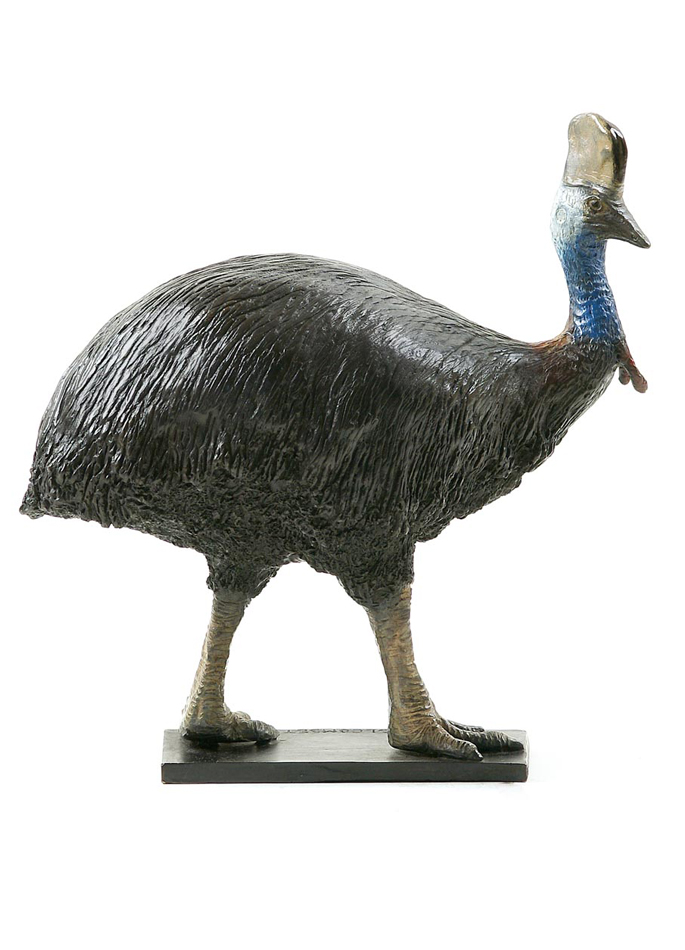 Damien Colcombet-Southern Cassowary