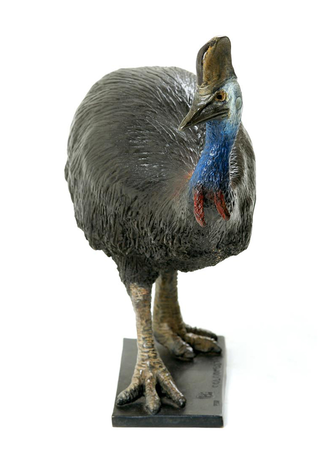 Damien Colcombet-Southern Cassowary
