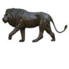 Damien Colcombet-Grand lion marchant