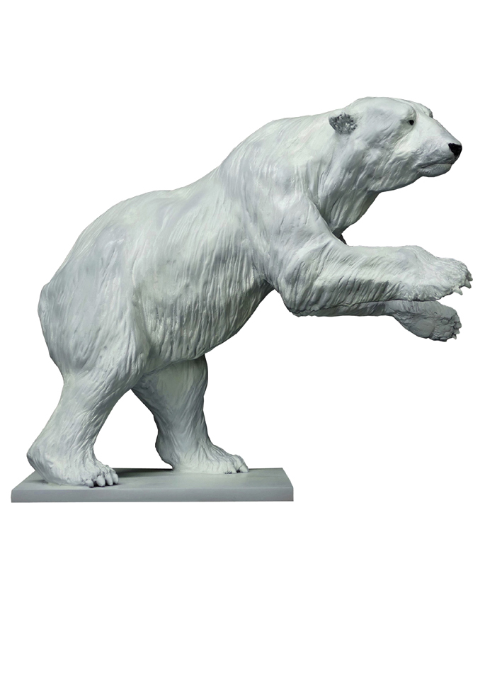 Damien Colcombet-Great Polar Bear