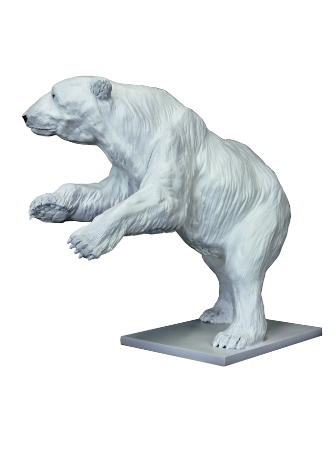 Damien Colcombet-Great Polar Bear