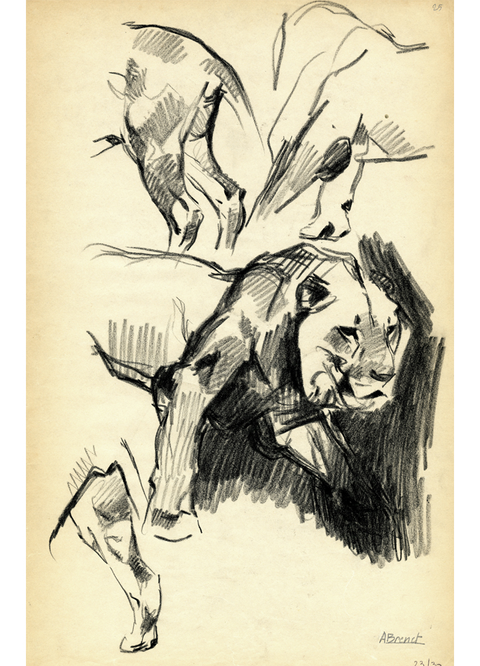 Albert Brenet drawing Walking Lion. Studies