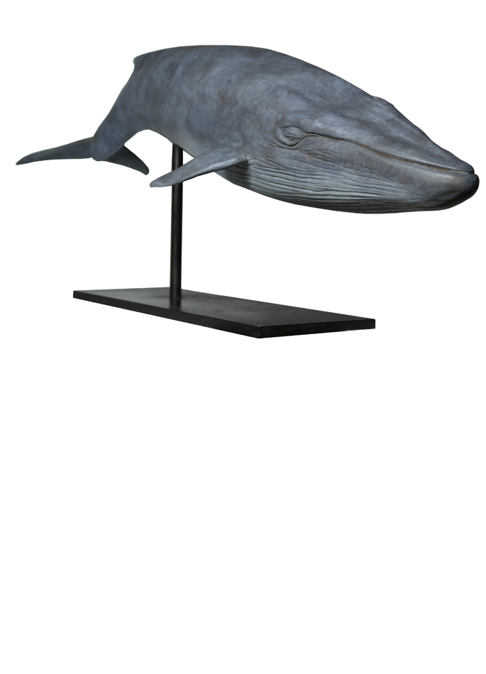 Damien Colcombet bronze Baleine bleue